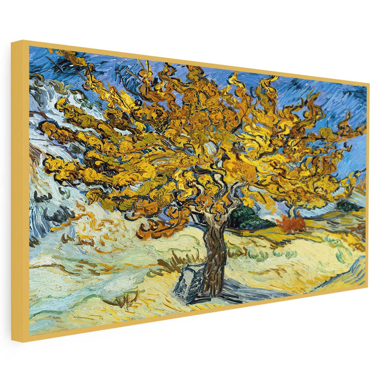 Mûrier Van Gogh