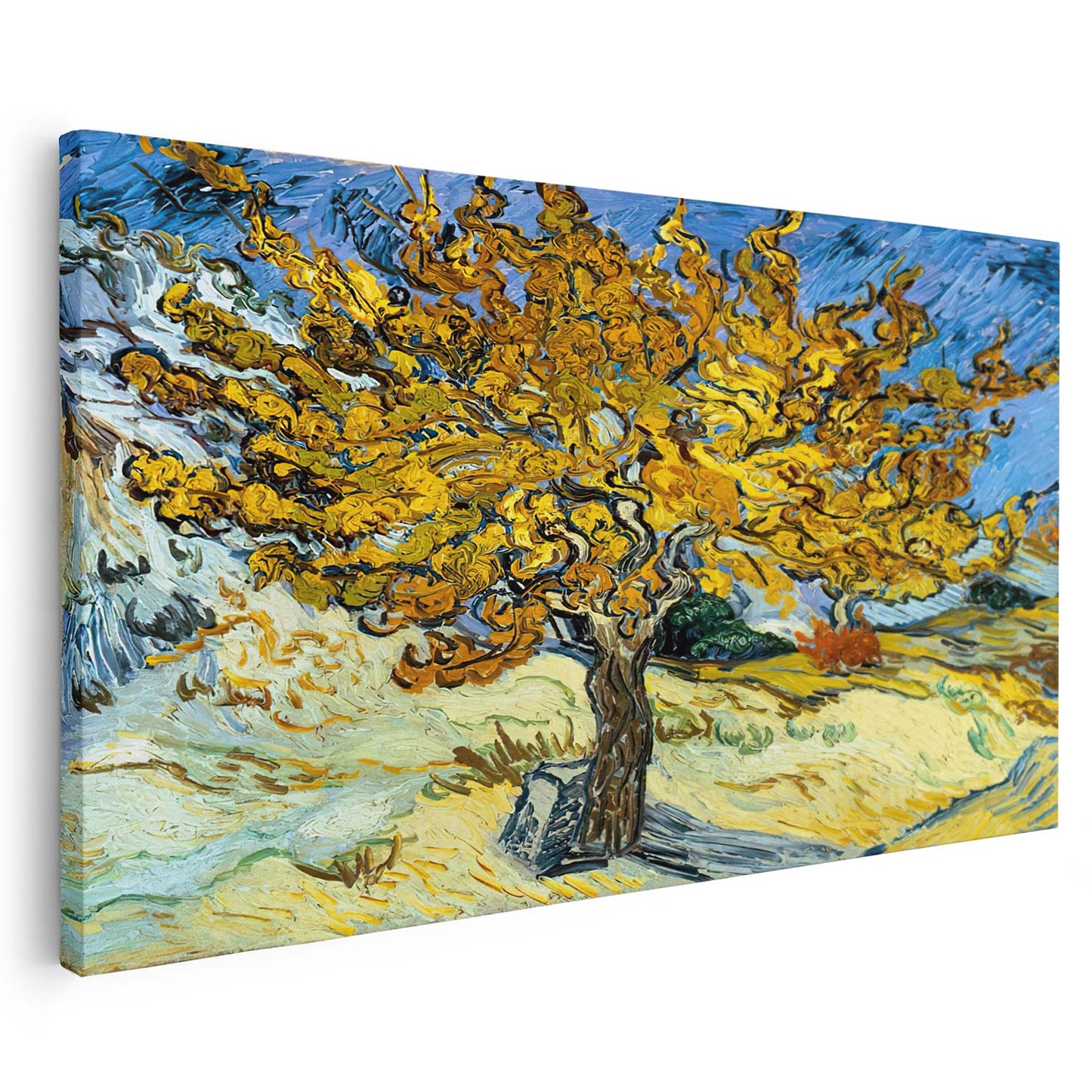 Mûrier Van Gogh