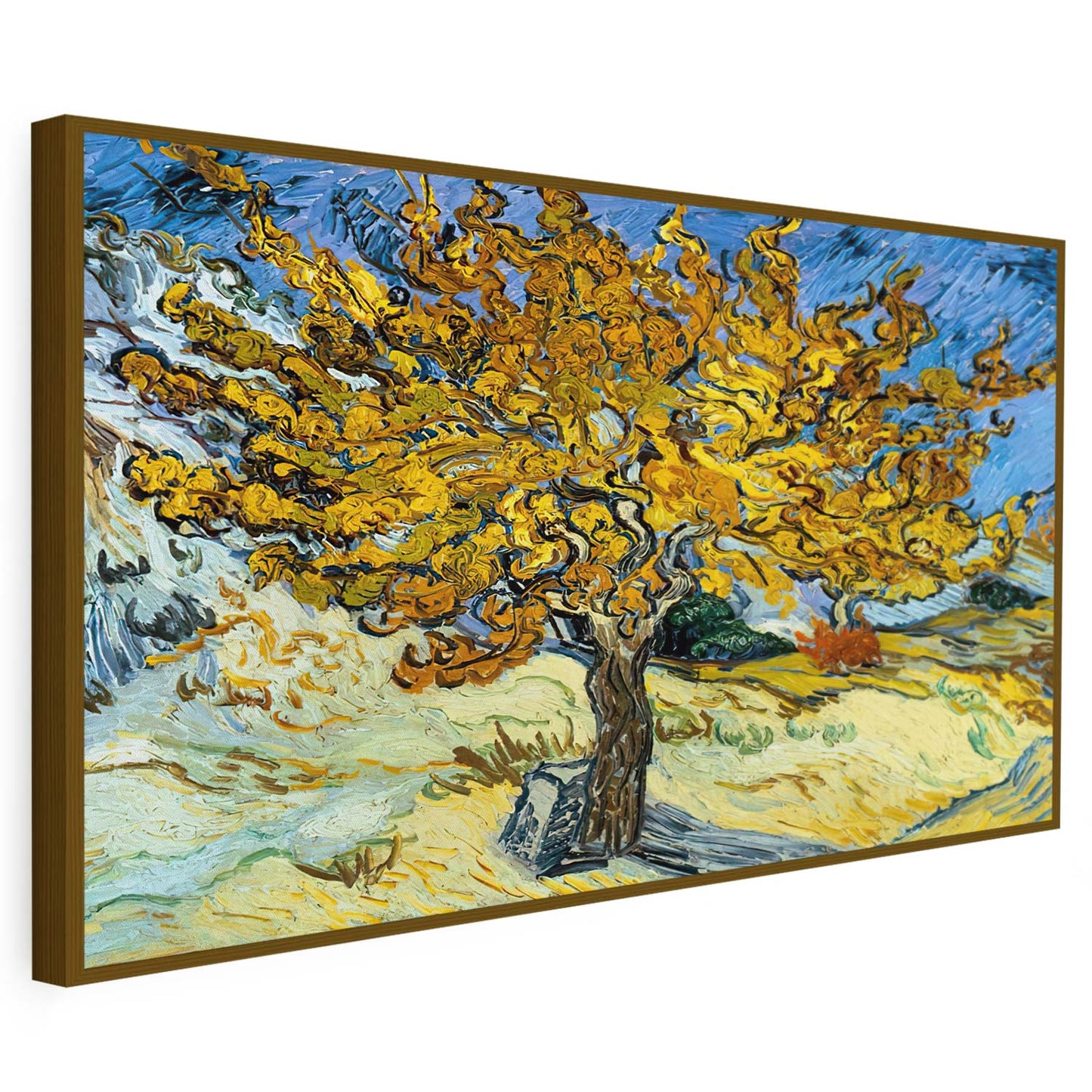 Mûrier Van Gogh