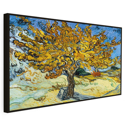 Mûrier Van Gogh